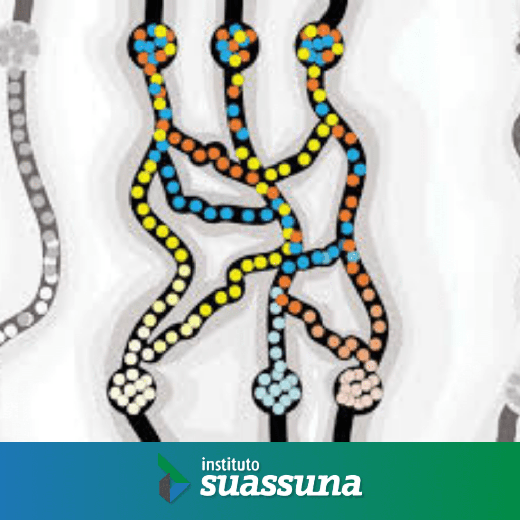 Neurobiologia e Poder